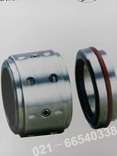 BURGMANN干氣結構密封